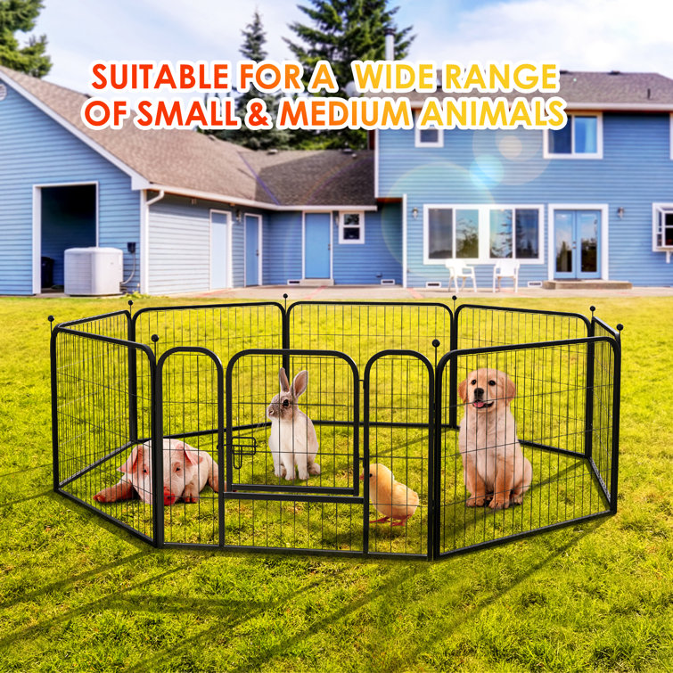 Large barrier shop metal dog pen